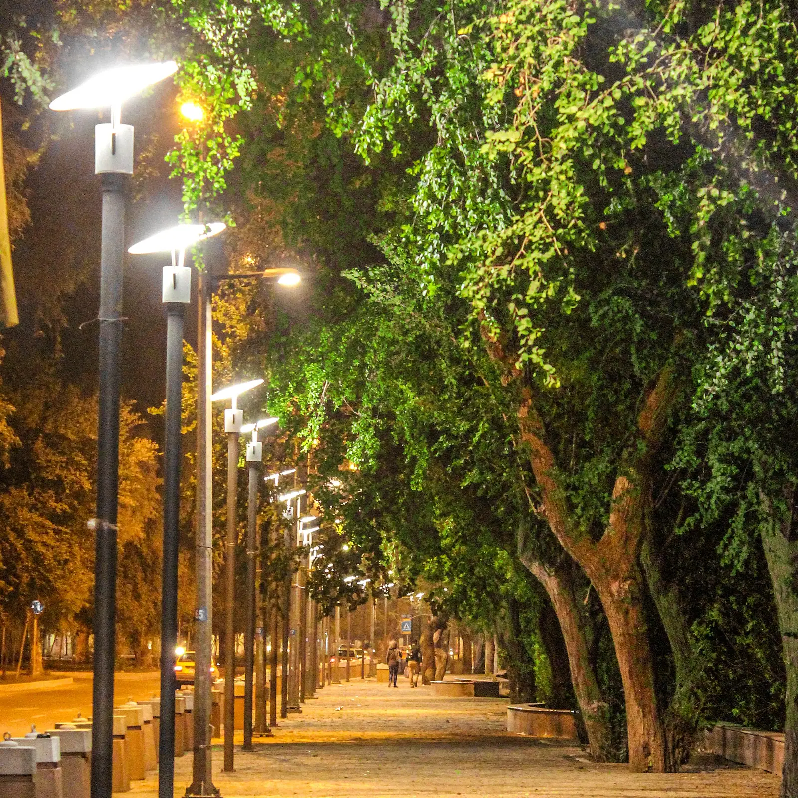 رصيف شارع أبي نؤاس في بغداد ليلاً تحت أشجار مضاءة بمصابيح الشارع